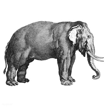 Vintage illustrations of Elephant | Free stock vector - 523796