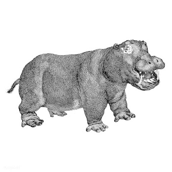 Vintage illustrations of Hippopotamus | Free stock vector - 523816