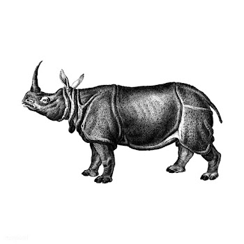 Vintage illustrations of Indian rhinoceros | Free stock vector - 523885