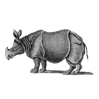 Vintage illustrations of Single-horned Rhinoc.. | Free stock vector - 523897
