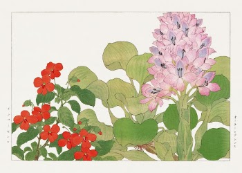 Vintage impatiens & water hyacinth | Free Photo Illustration - rawpixel