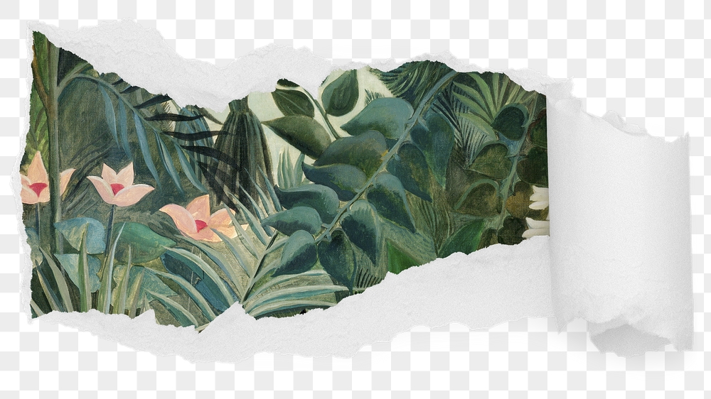 Vintage jungle png ripped paper | Free PNG - rawpixel