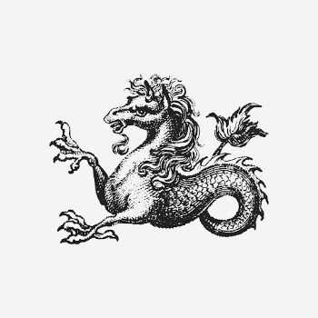 Vintage kelpie sea horse drawing, | Free Photo - rawpixel
