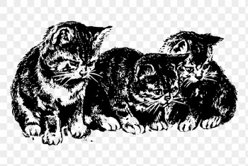 Vintage kittens png drawing sticker, | Free PNG - rawpixel