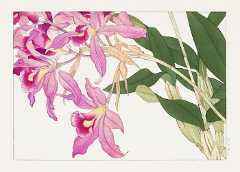 Vintage laelia flower, ukiyo e | Free Photo Illustration - rawpixel