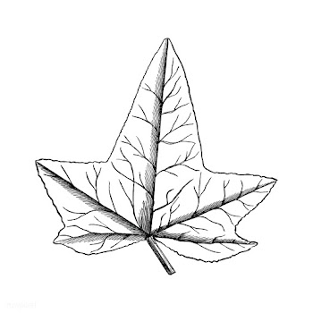 Vintage leaf illustration | Free stock vector - 502559