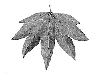 Vintage leaf illustration | Free stock vector - 502604