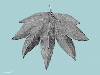Vintage leaf illustration | Free stock vector - 502628