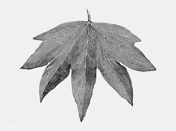 Vintage leaf illustration | Free stock vector - 502647