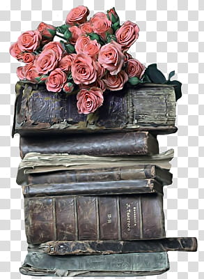 Vintage ll, bouquet of pink rose transparent background PNG clipart