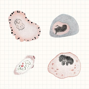 Vintage microscopic virus and bacteria illustration set psd mockup | Free  illustration - 2319781