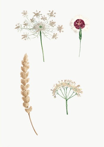 Vintage mixed flowers drawing | Free stock vector - 574015