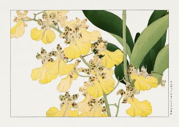 Vintage orchid flower, ukiyo e | Free Photo Illustration - rawpixel