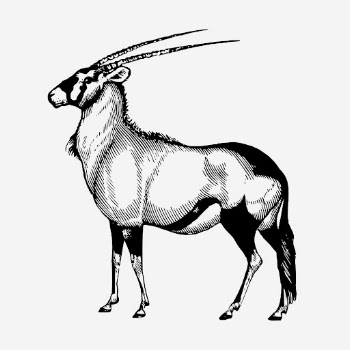Vintage oryx, wild animal illustration. | Free Photo Illustration - rawpixel