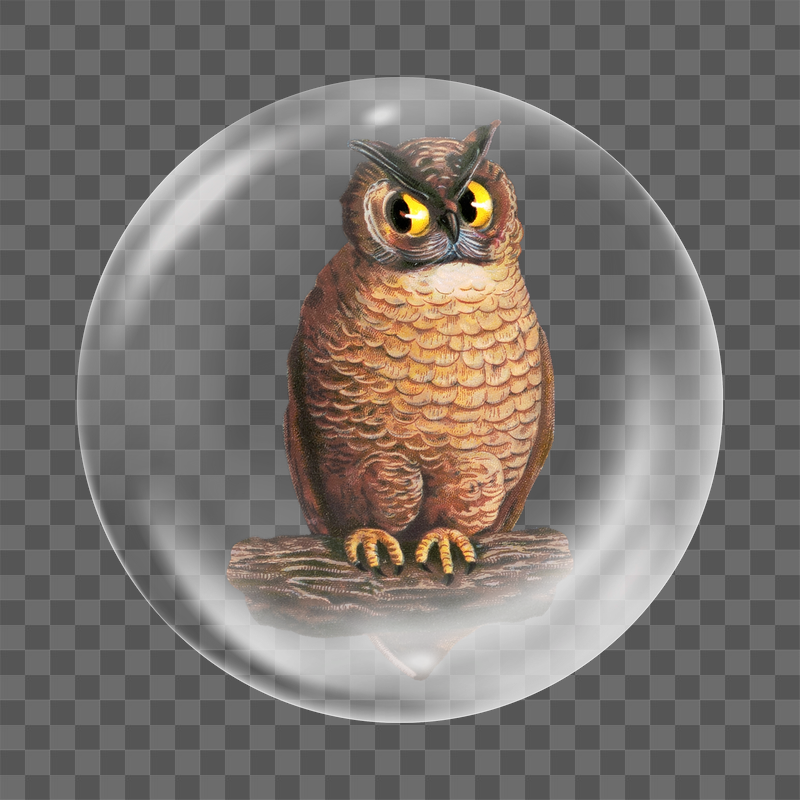 Vintage owl perching png sticker, | Free PNG - rawpixel