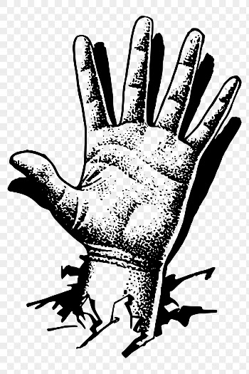 Vintage palm png sticker, hand | Free PNG - rawpixel