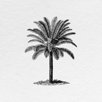 Vintage palm tree clipart, botanical | Free Photo - rawpixel