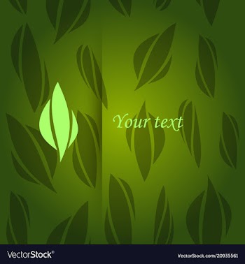 Vintage pattern on background for retro design vector image