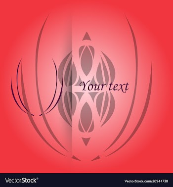 Vintage pattern on background for retro design vector image