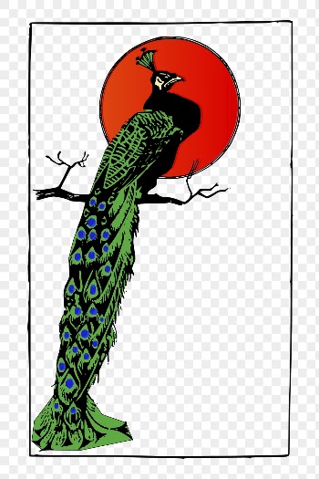 Vintage peacock png clipart, animal | Free PNG Illustration - rawpixel