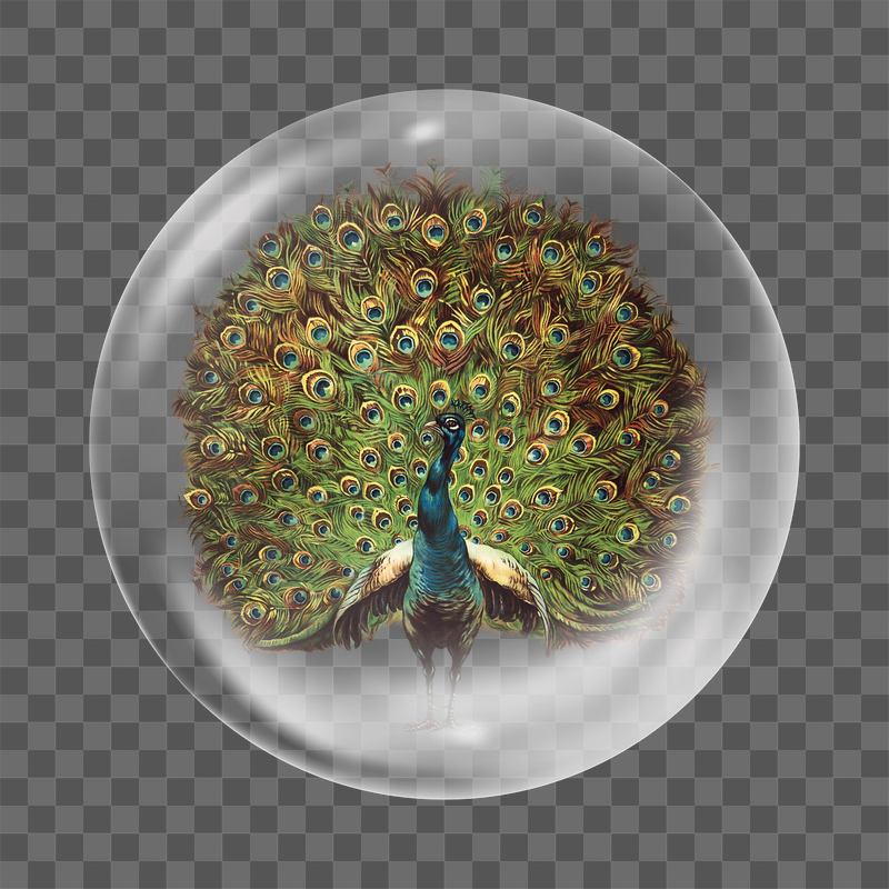 Vintage peacock png sticker, bubble | Free PNG - rawpixel