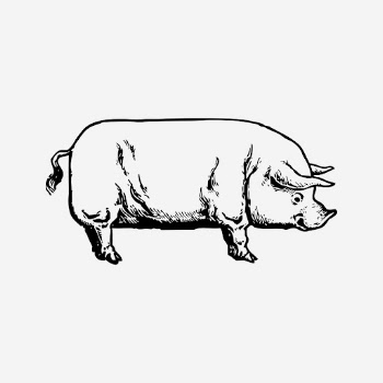 Vintage pig drawing clipart, livestock | Free Photo - rawpixel