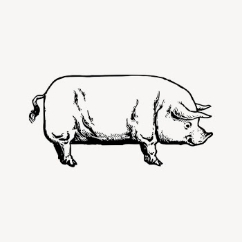 Vintage pig drawing clipart, livestock | Free Vector - rawpixel