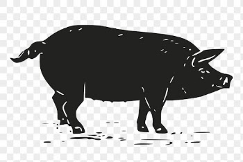 Vintage pig png, farm animal | Free PNG Illustration - rawpixel