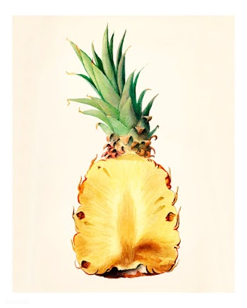 Vintage pineapple cut in half illustration. Digitally enhanced illustr.. | Free public domain illustration - 2291770