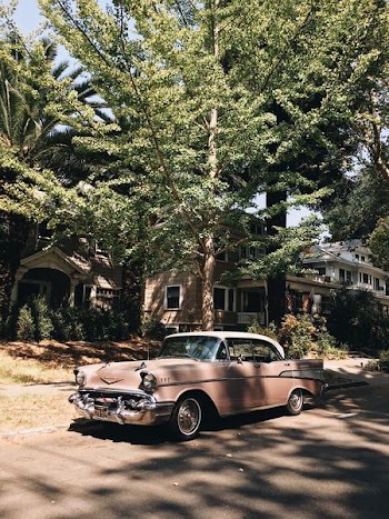 vintage pink sedan parked in front of tree