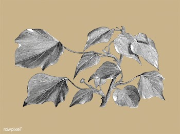 Vintage plants and leaves illustration | Free stock vector - 502532