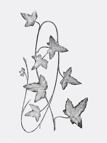 Vintage plants and leaves illustration | Free stock vector - 502537
