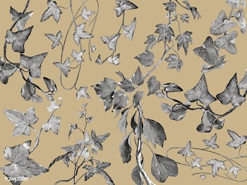 Vintage plants and leaves illustration | Free stock vector - 502541