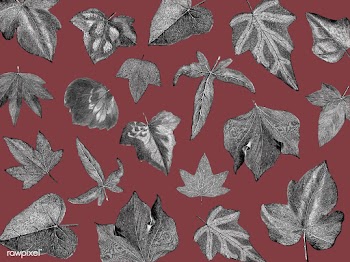 Vintage plants and leaves illustration | Free stock vector - 502552