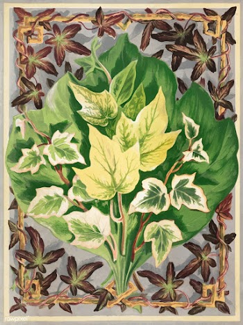 Vintage plants and leaves illustration | Free stock vector - 502574