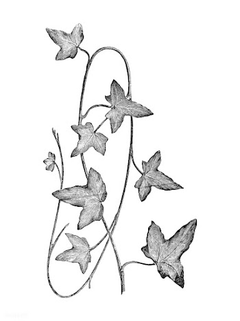 Vintage plants and leaves illustration | Free stock vector - 502581