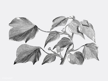 Vintage plants and leaves illustration | Free stock vector - 502587