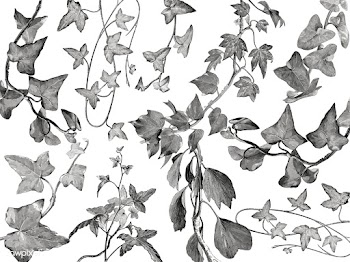 Vintage plants and leaves illustration | Free stock vector - 502588