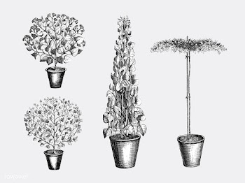 Vintage plants and leaves illustration | Free stock vector - 502592