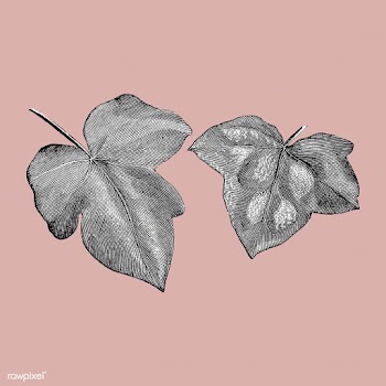 Vintage plants and leaves illustration | Free stock vector - 502596