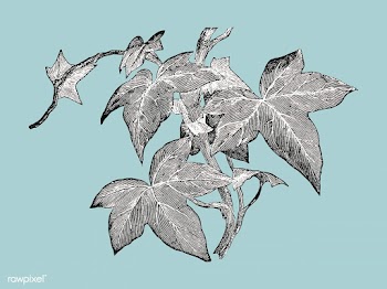 Vintage plants and leaves illustration | Free stock vector - 502614