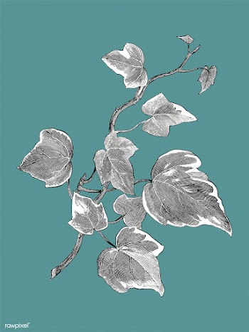 Vintage plants and leaves illustration | Free stock vector - 502615