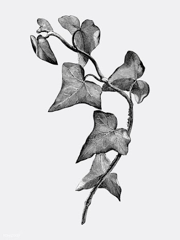 Vintage plants and leaves illustration | Free stock vector - 502624