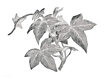 Vintage plants and leaves illustration | Free stock vector - 502633