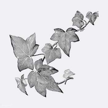 Vintage plants and leaves illustration | Free stock vector - 502641