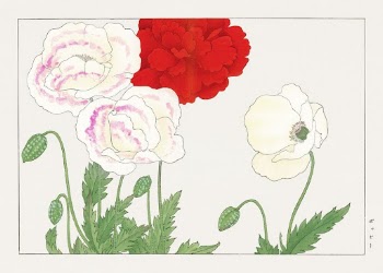 Vintage poppy flower, ukiyo e | Free Photo Illustration - rawpixel