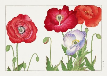 Vintage poppy flower, ukiyo e | Free Photo Illustration - rawpixel