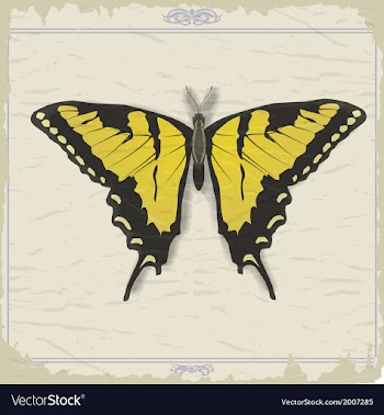 Vintage postcard with image swallowtail vector image