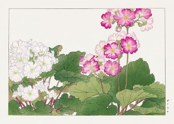 Vintage primrose flower, ukiyo e | Free Photo Illustration - rawpixel