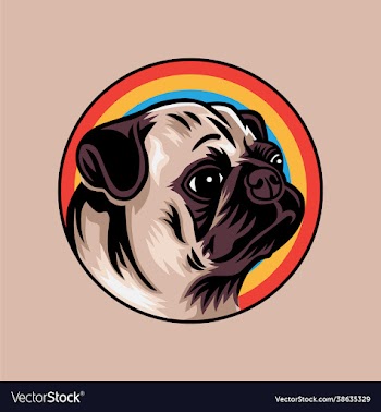 vintage pug dog concept isolat